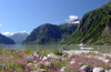 Wrangell Island, Alexander Archipelago, Alaska: scenic valley - photo by R.Eime