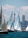 Australia - Yachts position themselves for the start of the annual Sydney-Hobert race. (photo by Rod Eime)