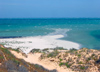 Australia - Ningaloo Yardie Creek Road (WA): Bruboodjoo Point - photo by Luca dal Bo