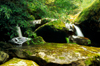 Yarra Ranges, Victoria, Australia: Yarra Ranges Cascades - photo by G.Scheer