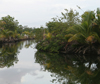Belize - Seine Bight : lagoon - Placencia Peninsula in the Stann Creek District of southern Belize - photo by Charles Palacio