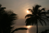 Belize - Seine Bight: postcard morning - palms and sunrise - photo by Charles Palacio