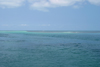 Belize / Belice- Seine Bight: tropical water - Caribbean sea - photo by Charles Palacio