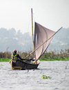 Lake Nokou, Benin: fisherman in his sail boat - pirogue traditionnelle - photo by G.Frysinger