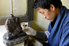 Bhutan, Thimpu, Student crafting statue at National Technical Training Institute - photo by J.Pemberton