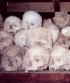 Cambodia / Cambodje - Phnom Penh: Choeung Ek killing fields - silent witnesses of the Khmer Rouge (photo by M.Torres)