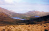 Campbell island: landscape - New Zealand Outlying Islands - photo by Albatross2147 - in P.D. - Unesco world heritage