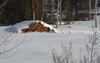 Canada / Kanada - Saskatchewan: pile of logs covered in snow - photo by M.Duffy
