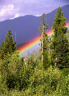 Canada / Kanada - BC: forest and rainbow - photo by G.Friedman