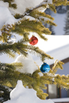 Kamloops, BC, Canada: Christmas Tree ornaments and snow - Sun Peaks ski resort - photo by D.Smith