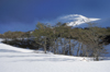 Villarrica Volcano National Park, Araucana Region, Chile: smoking Villarrica volcano and snowy landscape in the Lake District of Chile - photo by C.Lovell