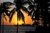 Moroni, Grande Comore / Ngazidja, Comoros islands: coconut trees and warship at sunset - view from the Corniche - photo by M.Torres