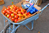 Moroni, Grande Comore / Ngazidja, Comoros islands: tomatoes and scale on a wheelbarrow - market scene - Dashe - photo by M.Torres