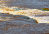 Djou, Congo: Livingstone Falls / Chutes du Djou - rapids on the lower course of the Congo River, border between the Congos - photo by M.Torres