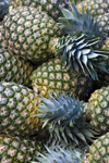 Costa Rica - Alajuela province: pineapples at a Costarican market - Ananas sativus - photo by H.Olarte