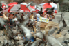 Croatia - Dubrovnik: feeding the pigeons - photo by J.Banks