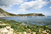 Lulworth Cove, Dorset, England: rocks - Jurassic Coast UNESCO World Heritage site - photo by I.Middleton