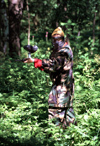 Finland - Kuopio (Ita-Suomen Laani): paint-ball in the forest - combat game (photo by F.Rigaud)