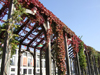 Le Havre, Seine-Maritime, Haute-Normandie, France: ivy on a pergola - Normandy - photo by A.Bartel