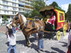 Le Havre, Seine-Maritime, Haute-Normandie, France: Circus Clown, Children's Carnival - Zampano Circus horse cart - photo by A.Bartel
