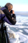 58 Franz Josef Land: Polar Bear being photographed from ship - photo by B.Cain