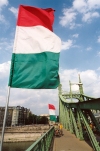 Hungary / Ungarn / Magyarorszg - Budapest: Hungarian flags - Liberation Bridge (photo by Miguel Torres)