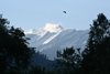 India - Manali (Himachal Pradesh, Himalayas): mountain view - photo by M.Wright