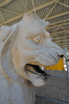 Iran - Persepolis: Apadana - aggressive lion, once part of the capital of a column in the eastern portico - photo by M.Torres