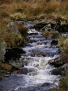 Ireland - Glenmalure valley (county Wicklow): mountain stream (photo by R.Wallace)