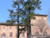 Moncalieri (Piedmont / Piemonte - Turin province): Castle - fragment / Castello Reale (photo by V.Bridan)