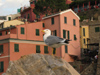 Italy - Vernazza, Cinque Terre  - seagul and houses - photo by D.Hicks