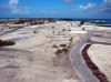 Johnston Atoll: fish in the reef - underwater image - photo by USFWS (in P.D.)