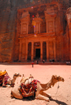 Jordan - Petra: Khazneh - Treasury - camels under the midday sun - UNESCO world heritage site - photo by M.Torres