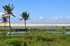 RN5, Mahatsara, Atsinanana region,Toamasina Province, Madagascar: beach and coconut trees - marsh near the Onibe river estuary - photo by M.Torres