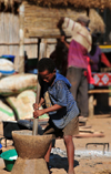 Tsimafana, Belo sur Tsiribihina district, Menabe Region, Toliara Province, Madagascar: boy preparing cassava flour - tapioca - mortar and pestle - village life - photo by M.Torres