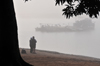 Bekopaka, Antsalova district, Melaky region, Mahajanga province, Madagascar: morning mist on the  Manambolo River - idle ferry - photo by M.Torres