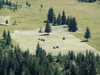 Montenegro - Crna Gora - Durmitor national park: harvest - agriculture - photo by J.Kaman