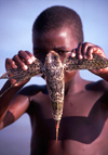 Benguerra: miudo com peixe voador  (photo by Francisca Rigaud)