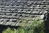 Nepal - Langtang region - roof made with planks of wood and stones - photo by E.Petitalot