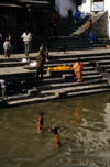 Kathmandu, Nepal: Pashupatinath temple - kids bathe in the Bagmati river near the cremation platforms - photo by W.Allgwer