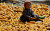 Nepal - Langtang region - toddler sitting on a carpet of corn - photo by E.Petitalot