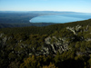 33 New Zealand - South Island - Hump Ridge - coastal view, Fiordland National Park - Southland region (photo by M.Samper)