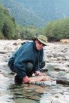 New Zealand - South island: West Coast - Fisherman with trout - photo by Air West Coast