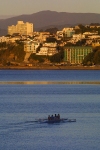 New Zealand -  North island - Wellington: rowers on the harbour - sports - rowing (photographer R.Eime)