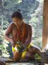 Panama - Chagres National Park: Embera Drua woman peels a pineapple for her family - photo by H.Olarte