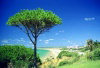 Portugal - Algarve - Alvor: from the clifftop near Prainha / vista do topo dos rochedos junto  Prainha (photo by D.S.Jackson)