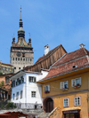 Sighisoara / Segesvr, Mures county, Transylvania, Romania: clock tower, aka Tower of the Council, housing the Museum of History - buildings of the Citadel - UNESCO listed town of Sighisoara - Cetatea - photo by J.Kaman