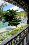 St Vincent and the Grenadines - Bequia island: leaning tree (photographer: Pamala Baldwin)
