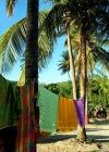 St Vincent and the Grenadines - Bequia island: sarongs (photographer: Pamala Baldwin)