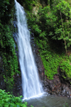 So Nicolau waterfall / cascata So Nicolau, M-Zchi district, So Tom and Prncipe / STP: falls on Manuel Jorge river / quedas de gua no rio Manuel Jorge - photo by M.Torres